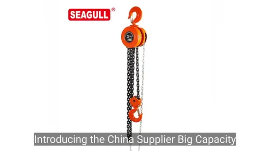 Bloco de polia de corrente de elevação manual Seagull Chain Hoist